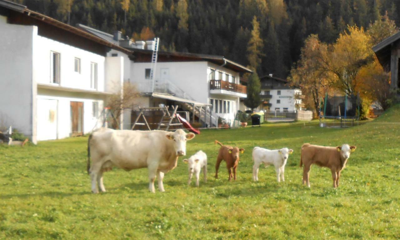 Ferienhaus Dankl Hollersbach im Pinzgau Exteriör bild